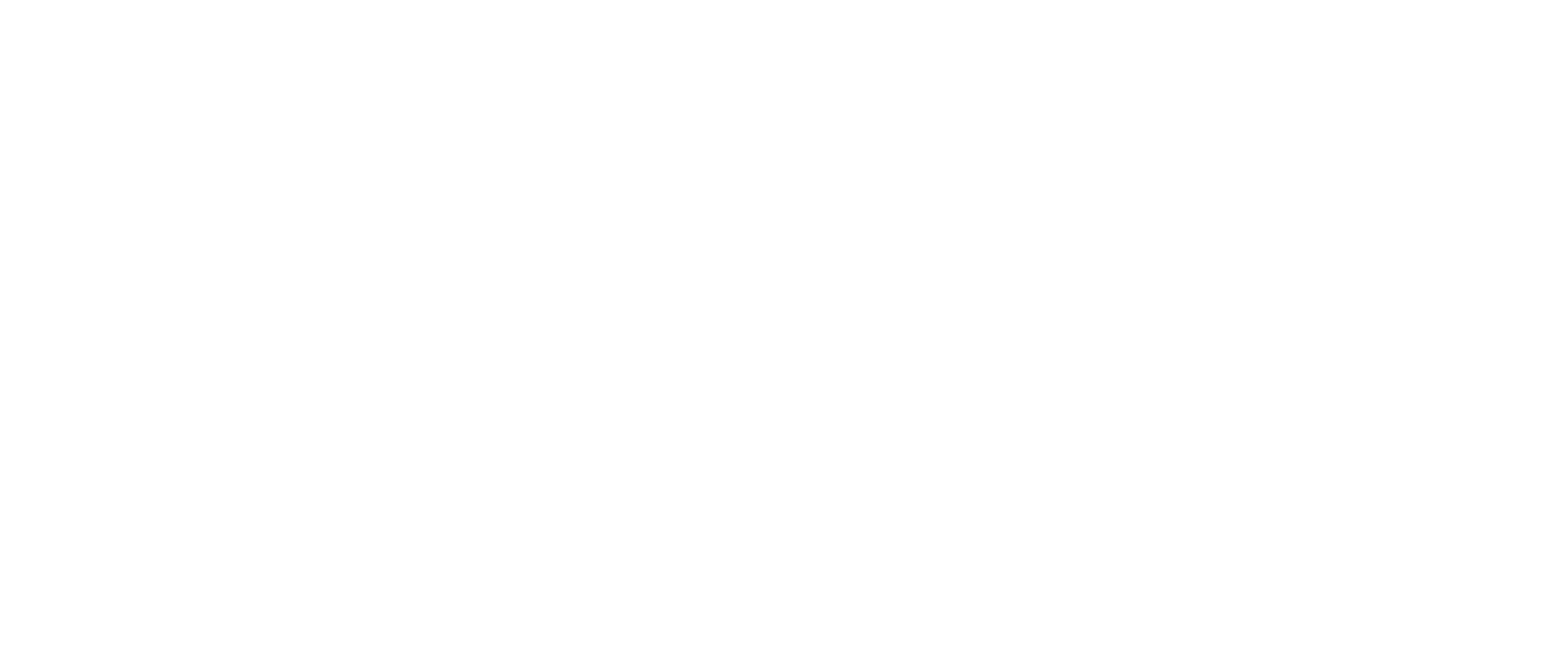 Fim Service Srl